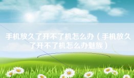 手机放久了开不了机怎么办（手机放久了开不了机怎么办魅族）