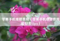 苹果手机维修费用（苹果手机维修费用价目表13pro）