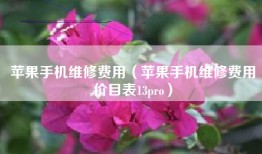 苹果手机维修费用（苹果手机维修费用价目表13pro）