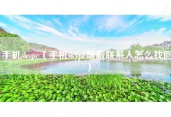 手机skype（手机skype屏蔽联系人怎么找回）