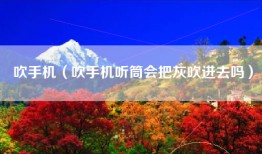 吹手机（吹手机听筒会把灰吹进去吗）