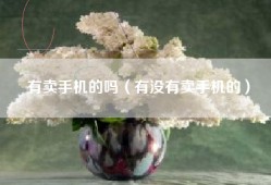 有卖手机的吗（有没有卖手机的）
