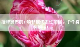 授牌发布的37项非遗代表性项目，个个身怀绝技！