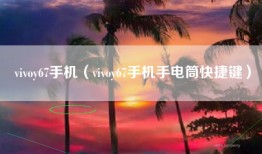 vivoy67手机（vivoy67手机手电筒快捷键）