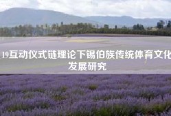 19互动仪式链理论下锡伯族传统体育文化发展研究