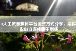 8大主流自媒体平台运营方式分享，别再说做自媒体赚不到钱