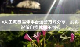 8大主流自媒体平台运营方式分享，别再说做自媒体赚不到钱