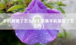 手机屏黑了怎么办（苹果手机黑屏了怎么办）