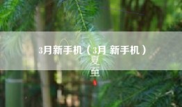 3月新手机（3月 新手机）
