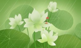 为什么七夕节会下雨 七夕下雨会有什么说法