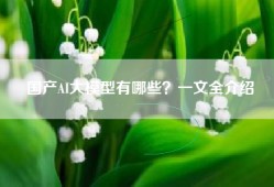 国产AI大模型有哪些？一文全介绍