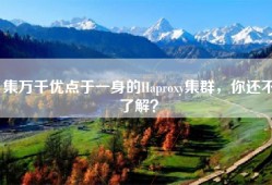 集万千优点于一身的Haproxy集群，你还不了解？