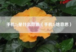 手机2g是什么意思（手机2g啥意思）