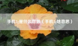 手机2g是什么意思（手机2g啥意思）