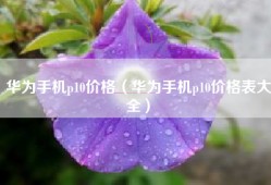 华为手机p10价格（华为手机p10价格表大全）