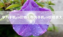 华为手机p10价格（华为手机p10价格表大全）
