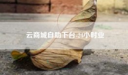 云商城自助下台-24小时业