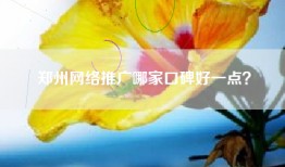 郑州网络推广哪家口碑好一点？