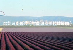 智能识别图片（智能识别图片找原图）