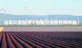 智能识别图片（智能识别图片找原图）