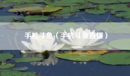 手机斗鱼（手机斗鱼直播）