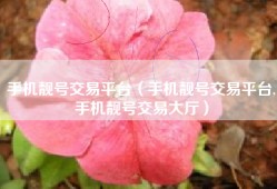 手机靓号交易平台（手机靓号交易平台,手机靓号交易大厅）