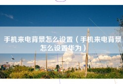 手机来电背景怎么设置（手机来电背景怎么设置华为）