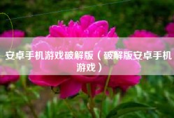 安卓手机游戏破解版（破解版安卓手机游戏）