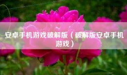 安卓手机游戏破解版(破解版安卓手机游戏)