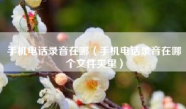 手机电话录音在哪（手机电话录音在哪个文件夹里）