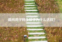 请问湾仔码头饺子为什么这样？