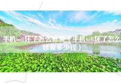 手机wifi坏了怎么修复（手机wifi坏了怎么修复多少钱）