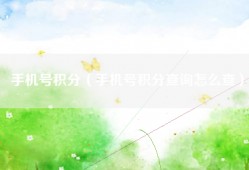 手机号积分（手机号积分查询怎么查）