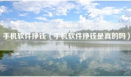 手机软件挣钱（手机软件挣钱是真的吗）