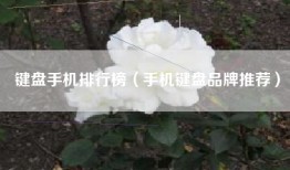 键盘手机排行榜（手机键盘品牌推荐）
