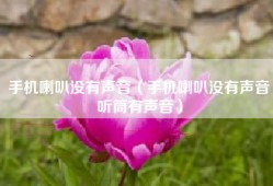 手机喇叭没有声音（手机喇叭没有声音听筒有声音）