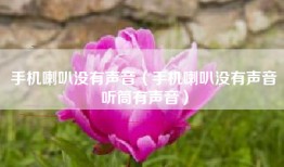 手机喇叭没有声音（手机喇叭没有声音听筒有声音）