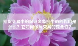 期货交易中的保证金监控中心的作用是什么？它如何保障交易的安全性？