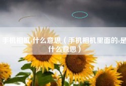 手机相机s什么意思（手机相机里面的s是什么意思）