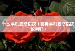 什么手机膜防指纹（哪种手机膜防指纹效果好）