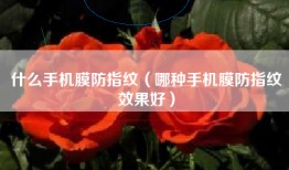 什么手机膜防指纹（哪种手机膜防指纹效果好）