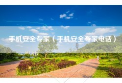 手机安全专家（手机安全专家电话）