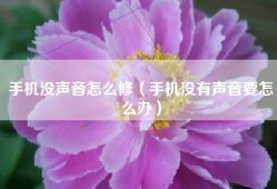手机没声音怎么修（手机没有声音要怎么办）