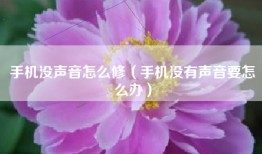 手机没声音怎么修（手机没有声音要怎么办）