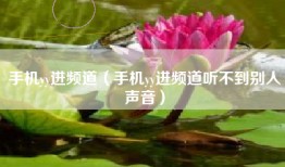 手机yy进频道（手机yy进频道听不到别人声音）