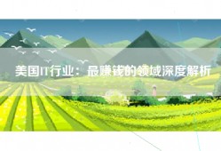 美国IT行业：最赚钱的领域深度解析