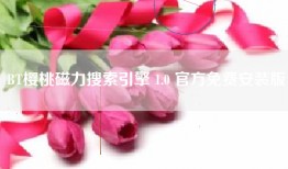 BT樱桃磁力搜索引擎 1.0 官方免费安装版