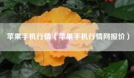 苹果手机行情（苹果手机行情网报价）