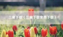 三星下载（三星下载免费下载）