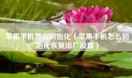 苹果手机怎么初始化（苹果手机怎么初始化恢复出厂设置）